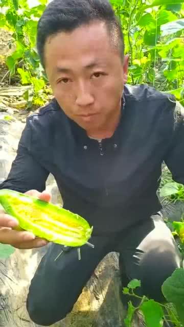 和好友吃瓜,吃瓜聊翻天! 第3张 和好友吃瓜,吃瓜聊翻天! 第3张